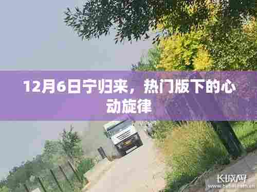 热门版下的心动旋律,宁归来,12月6日与你相伴