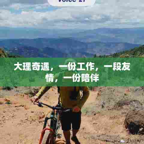 大理奇遇,一份工作,一段友情,一份陪伴