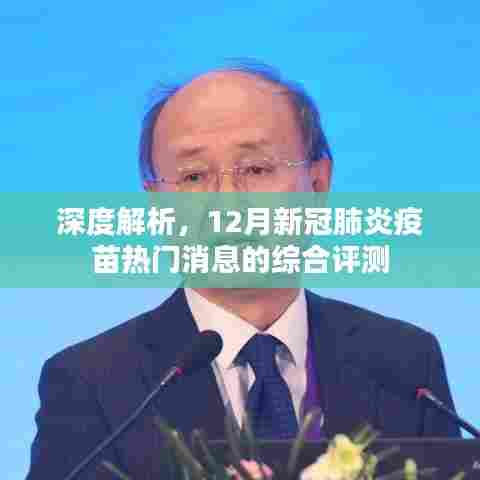 金石为开 第3页