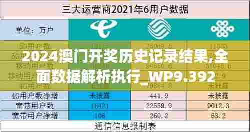 2024澳门开奖历史记录结果,全面数据解析执行_WP9.392
