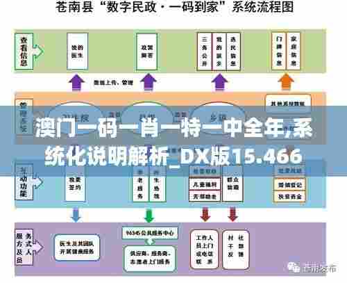 澳门一码一肖一特一中全年,系统化说明解析_DX版15.466