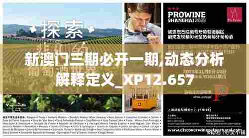 新澳门三期必开一期,动态分析解释定义_XP12.657