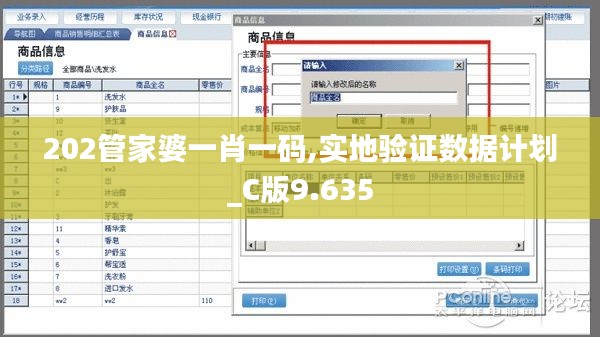 202管家婆一肖一码,实地验证数据计划_C版9.635