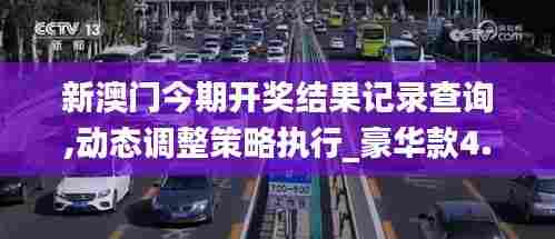 新澳门今期开奖结果记录查询,动态调整策略执行_豪华款4.191