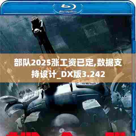 部队2025涨工资已定,数据支持设计_DX版3.242
