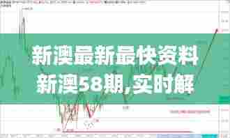 新澳最新最快资料新澳58期,实时解答解释定义_Max6.369