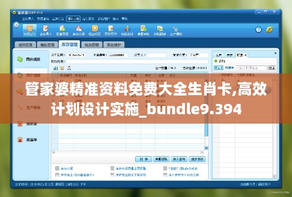 管家婆精准资料免费大全生肖卡,高效计划设计实施_bundle9.394
