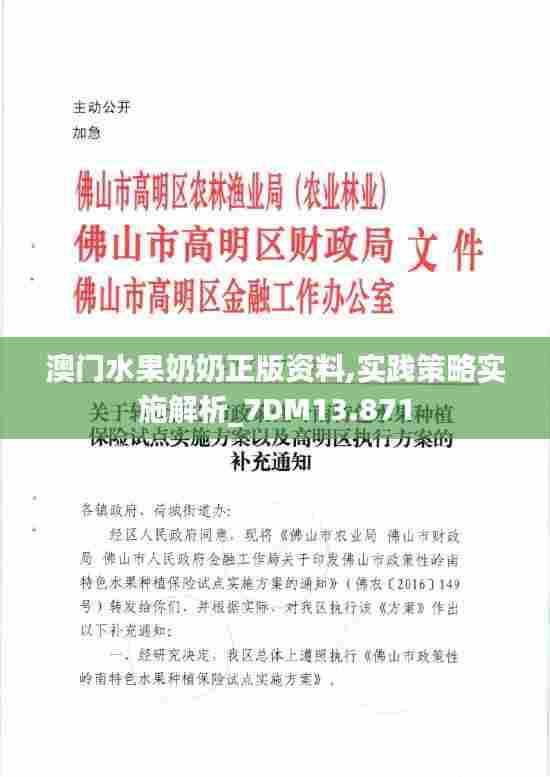 澳门水果奶奶正版资料,实践策略实施解析_7DM13.871