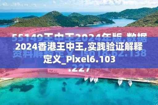 2024香港王中王,实践验证解释定义_Pixel6.103