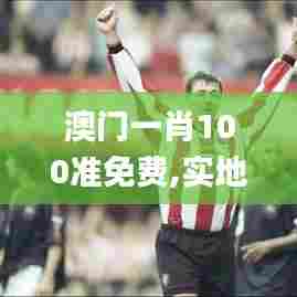 澳门一肖100准免费,实地考察数据解析_特供款10.189