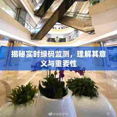 揭秘实时绿码监测，意义与重要性解析
