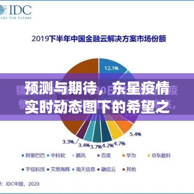 东星疫情实时动态图下的展望,预测与期待——2024年12月9日展望
