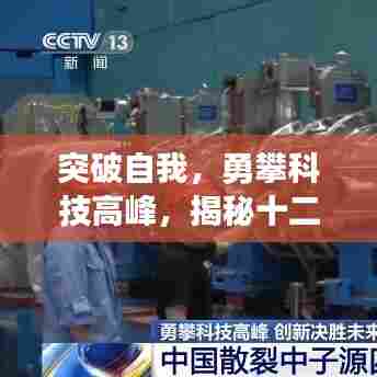 打张鸡儿 第3页