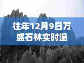往年12月9日万盛石林实时温度表,全面评测、特性体验与用户洞察揭秘
