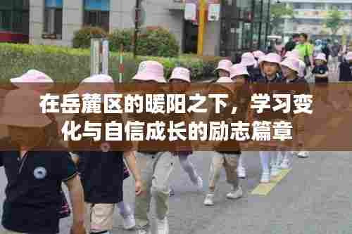 岳麓暖阳下的成长励志篇章，学习变化与自信铸就辉煌