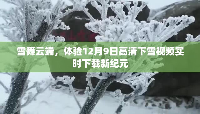 小心翼翼 第3页