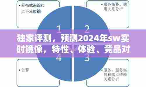 独家评测揭秘，2024年SW实时镜像特性、体验、竞品对比及用户群体深度分析