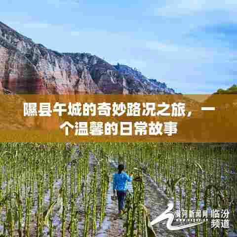隰县午城的日常奇妙之旅,温馨路况之旅