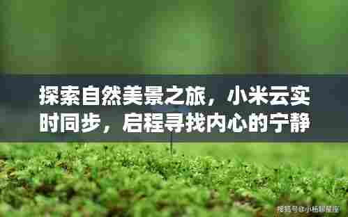 百尺无枝 第4页