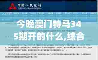 张皇铺饰 第3页