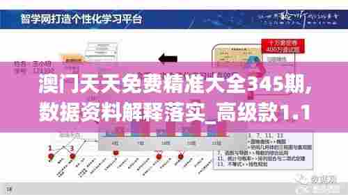 澳门天天免费精准大全345期,数据资料解释落实_高级款1.145