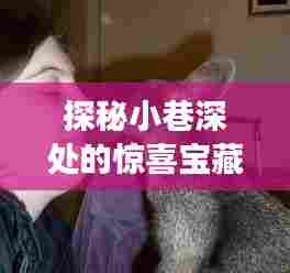 探秘小巷深处的惊喜宝藏,袋鼠店长评论实时更新报道