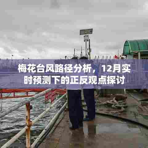梅花台风路径分析与实时预测下的正反观点探讨