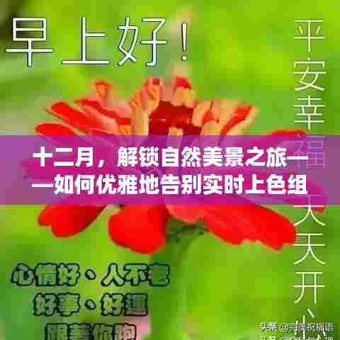 十二月自然美景之旅,优雅告别实时上色,寻找内心平和宁静的旅程