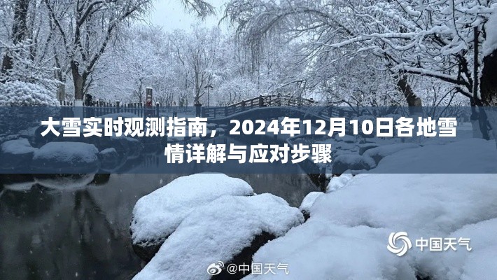 大雪实时观测指南,各地雪情详解与应对步骤(2024年12月10日)