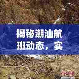 揭秘潮汕航班实时动态，跟踪网址与航班信息解读指南