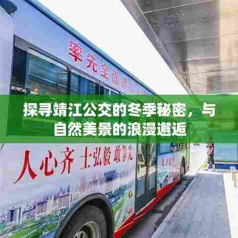 靖江公交冬季之旅,与自然美景的浪漫邂逅