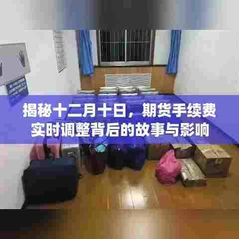 揭秘期货手续费实时调整背后的故事与影响，十二月十日深度剖析