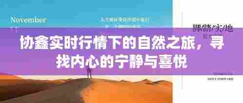 协鑫实时行情下的自然探索,追寻内心宁静与喜悦的旅程