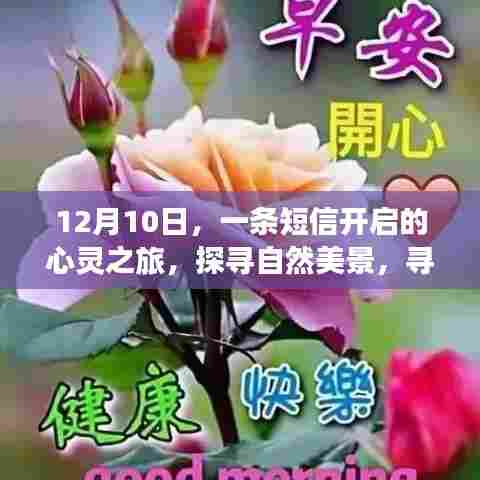短信启航，心灵之旅探寻自然美景与内心平静