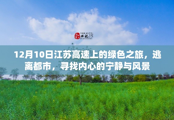 江苏高速绿色之旅,逃离都市喧嚣,探寻内心宁静与风景的奇妙之旅
