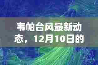 韦帕台风最新动态及实时报道与科普解析（12月10日更新）