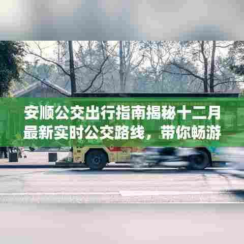 安顺公交出行指南,最新十二月公交路线带你畅游安顺市!