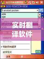 实时翻译软件的发展应用,利弊分析与观点阐述——以去年十二月十日为例