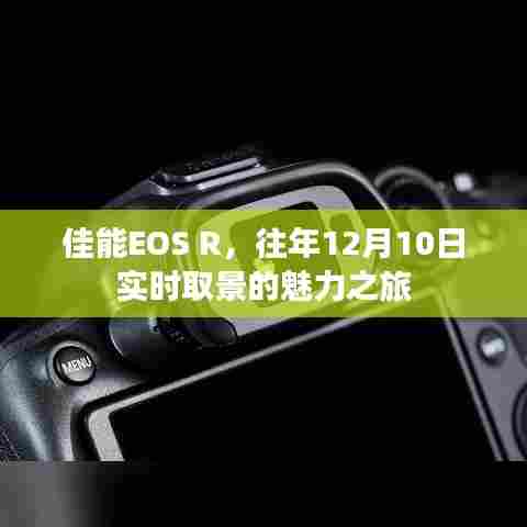 佳能EOS R,实时取景的魅力之旅,揭秘往年12月10日的精彩瞬间