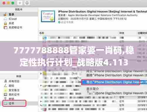 7777788888管家婆一肖码,稳定性执行计划_战略版4.113