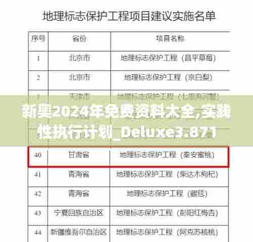 新奥2024年免费资料大全,实践性执行计划_Deluxe3.871