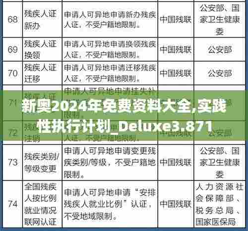 新奥2024年免费资料大全,实践性执行计划_Deluxe3.871