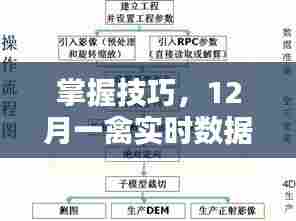 掌握技巧，12月一禽实时数据获取与分析的全面步骤指南