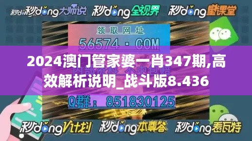 2024澳门管家婆一肖347期,高效解析说明_战斗版8.436