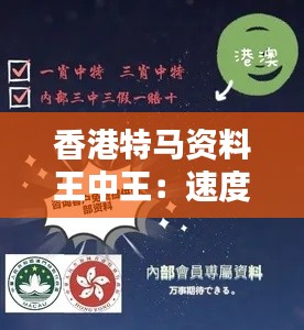 香港特马资料王中王:速度与智慧的结合体