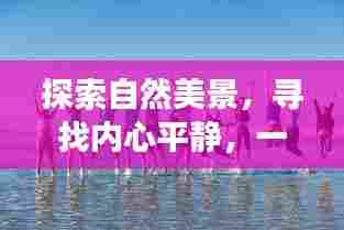 自然探索与心灵之旅，橄榄球的奇妙旅程预测至未来