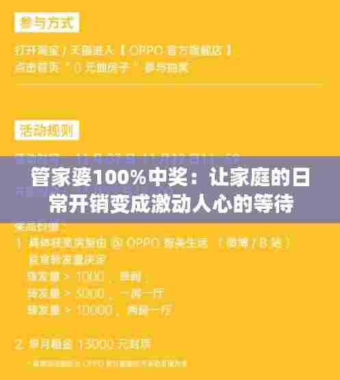 管家婆100%中奖：让家庭的日常开销变成激动人心的等待