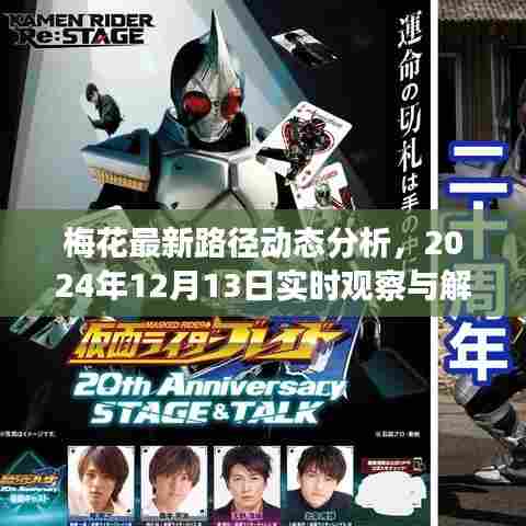 梅花最新路径动态分析,实时观察与解读(2024年12月13日)