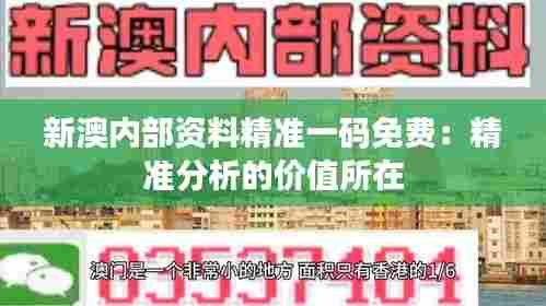 新澳内部资料精准一码免费:精准分析的价值所在
