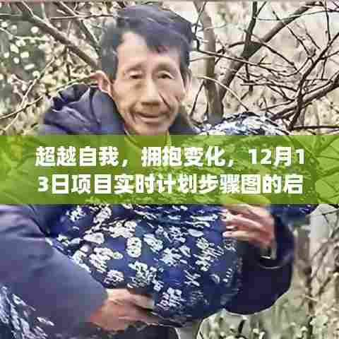 实时计划步骤图的启示之旅,超越自我,拥抱变化的力量探索